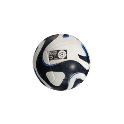 adidas HT9014 OCEAUNZ TRN KADINLAR DÜNYA KUPASI FUTBOL ANTRENMAN TOPU