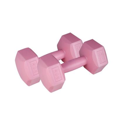 Tryon PD-20 DAMBIL PLASTİK ALTIGEN 2 KG